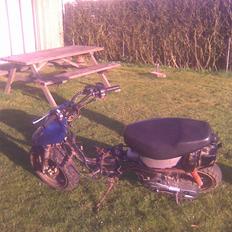 Adly cat 50 projekt solgt