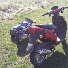 MiniBike  - Motorcykel (solgt)