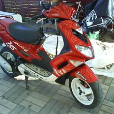 Peugeot Speedfight 2 206 WRC