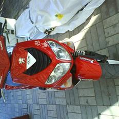 Peugeot Speedfight 2 206 WRC