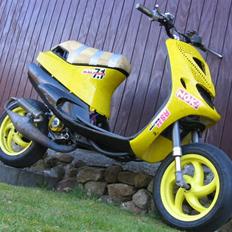 Piaggio 2FastZip (Tilsalg i dele)