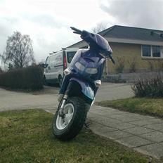 Aprilia Rally :: SOLGT ::