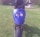 Adly cat 50 projekt solgt