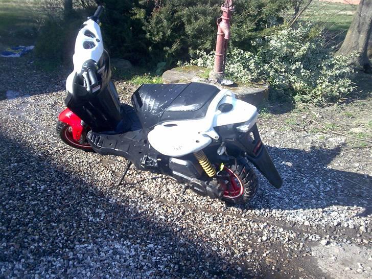 PGO nofear(bytte til rcr) billede 3