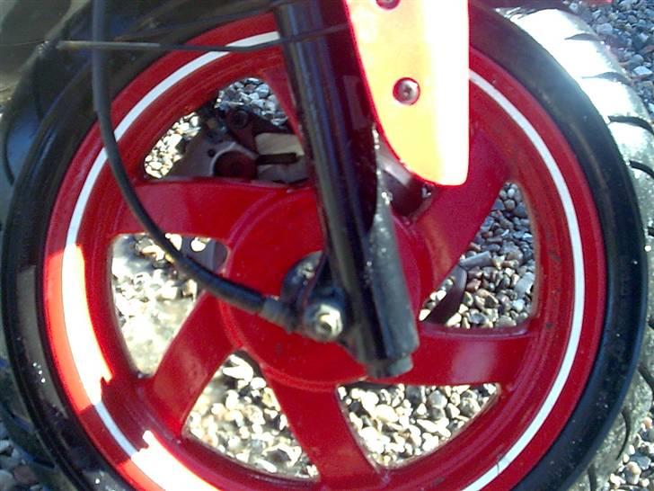 PGO nofear(bytte til rcr) billede 4