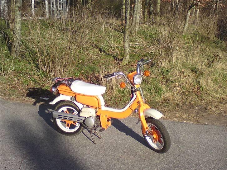 Suzuki Fz50 billede 1