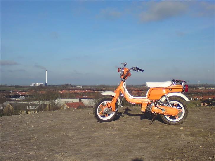 Suzuki Fz50 billede 5