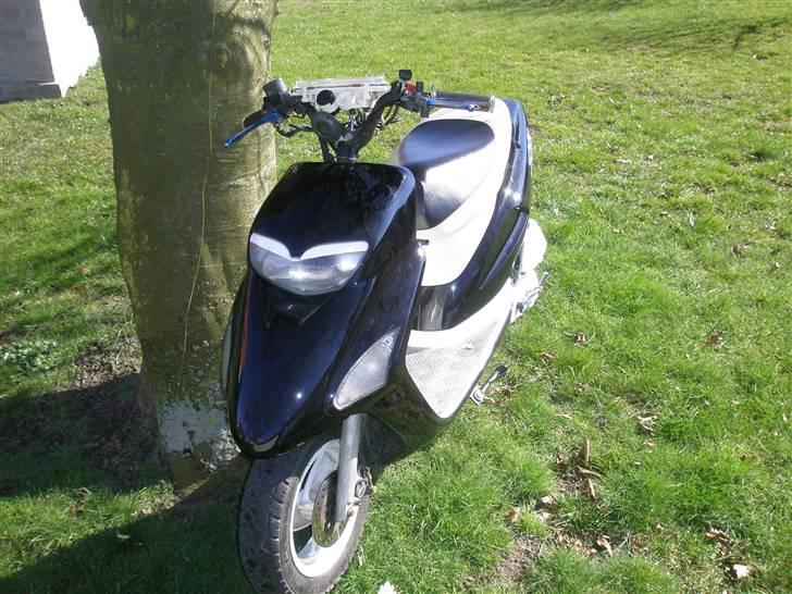 Honda sfx - SOLGT!  billede 13