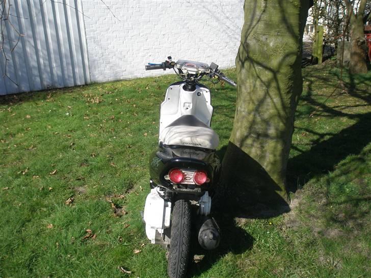 Honda sfx - SOLGT!  billede 16