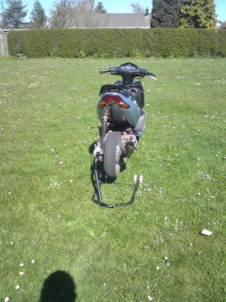 Aprilia sonic - solgt billede 9