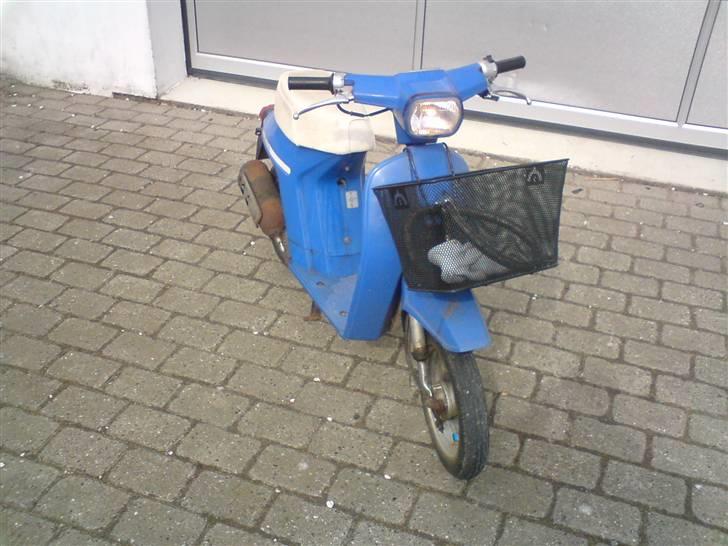 Honda melody mini billede 1