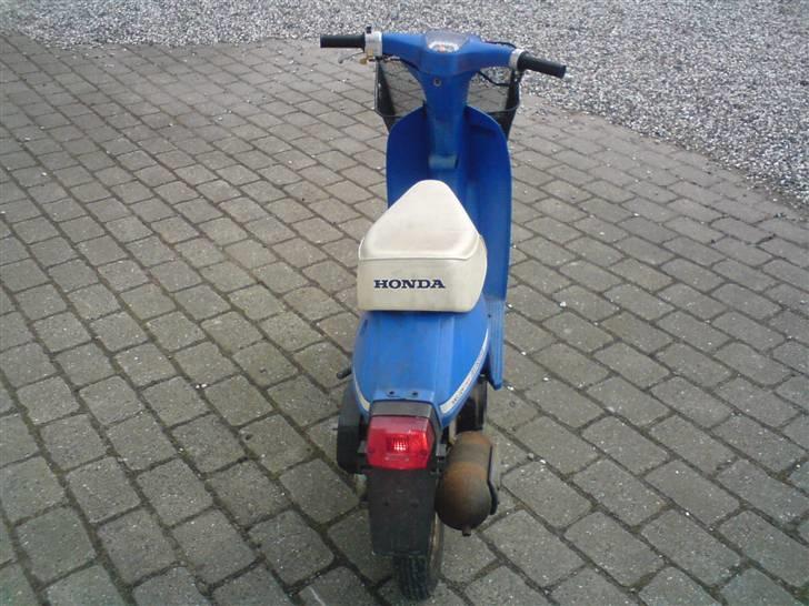 Honda melody mini billede 5