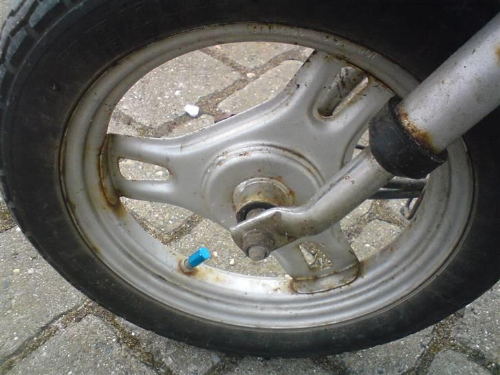 Honda melody mini billede 14