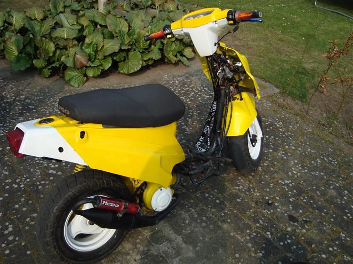 PGO Hot 50 (Gammel Model) billede 9