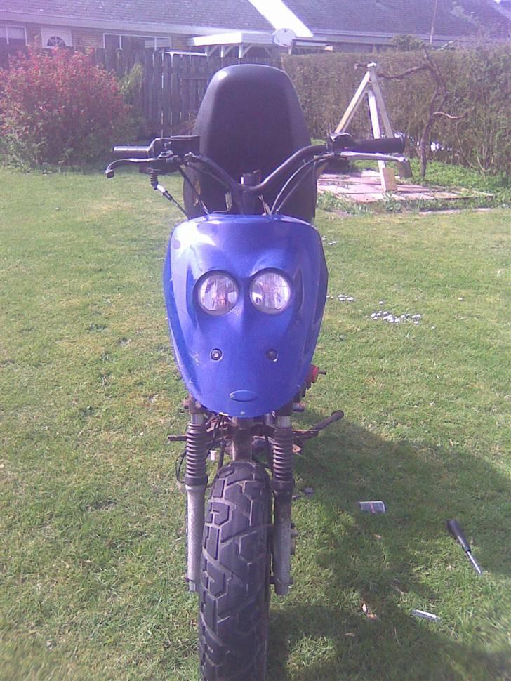 Adly cat 50 projekt solgt billede 1