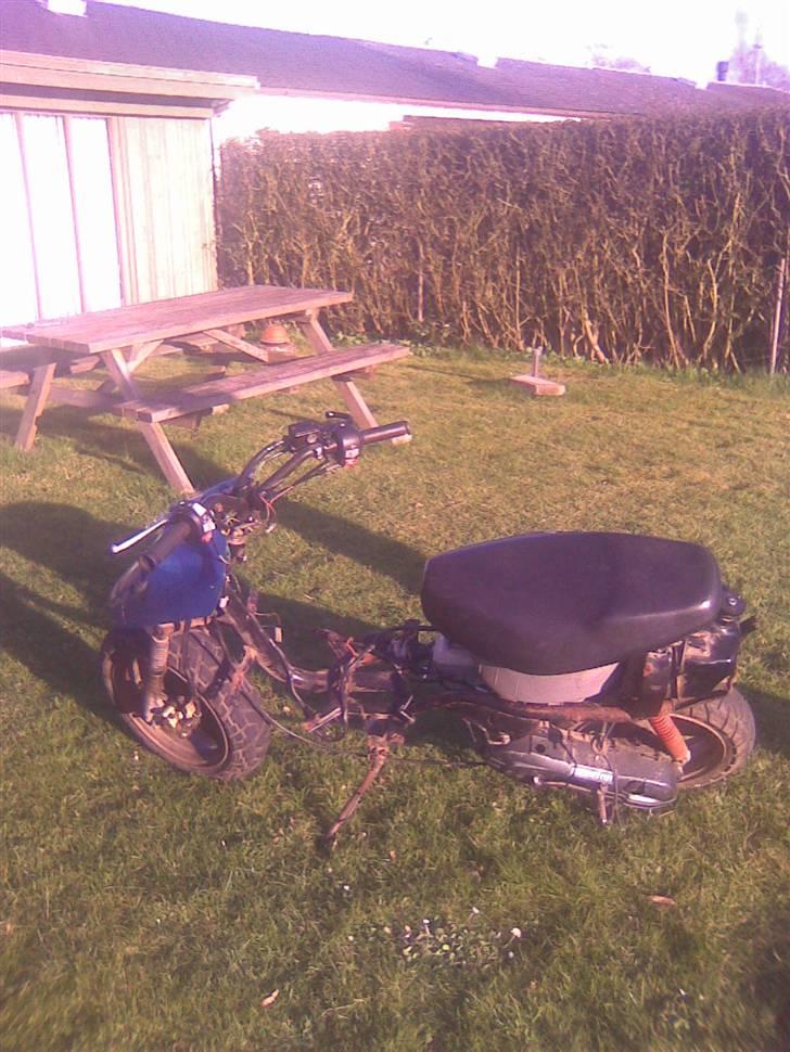 Adly cat 50 projekt solgt billede 2