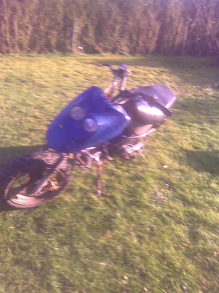 Adly cat 50 projekt solgt billede 3