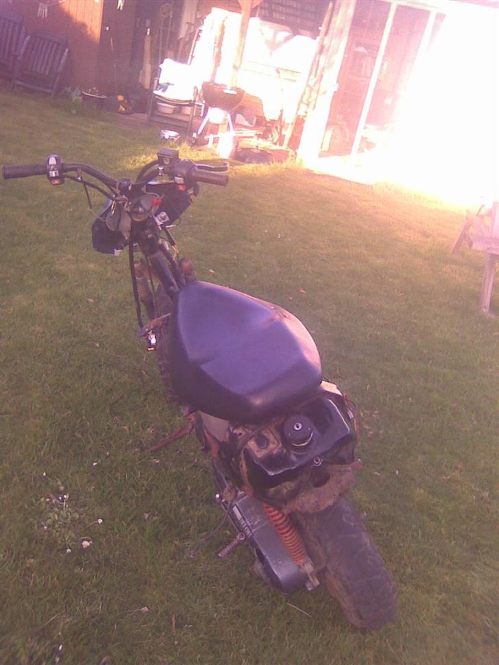 Adly cat 50 projekt solgt billede 4