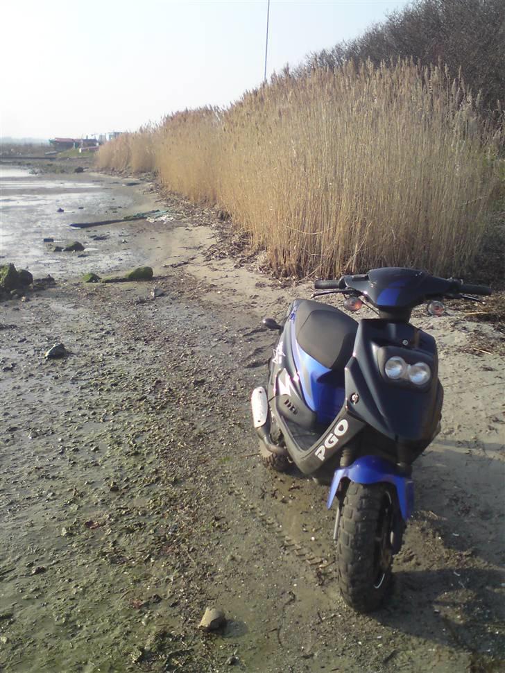 PGO Hot 50 billede 13