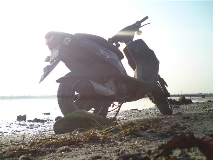 PGO Hot 50 billede 15