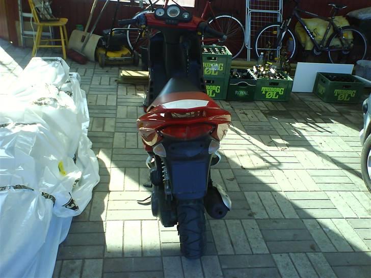 Peugeot Speedfight 2 206 WRC billede 6