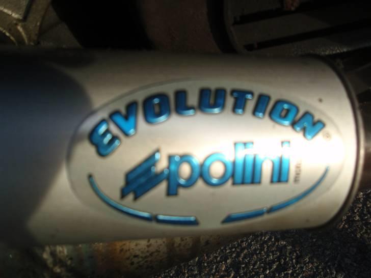 Piaggio typhoon - min udstødning billede 7