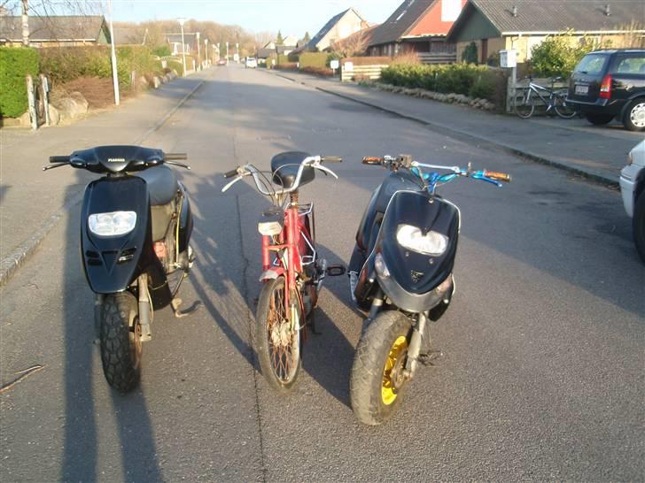 Piaggio typhoon - mine 2 scootere og min knallert billede 8