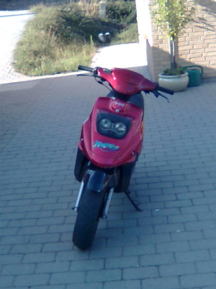 PGO Hot 50 [Solgt] billede 1