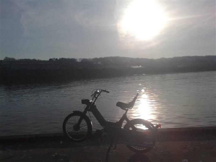 Puch Maxi P - #Fiskeren# - Molen igen ;D Også godt billed  billede 5