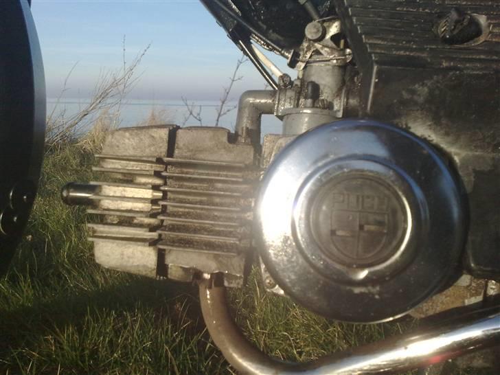 Puch Maxi P - #Fiskeren# - Og motor billede 9