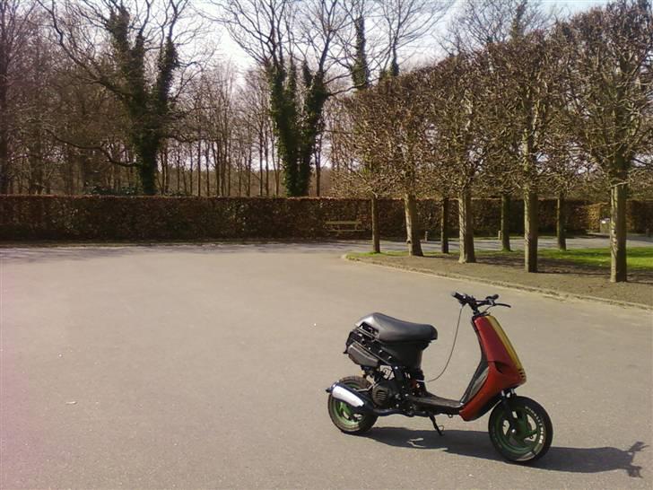 Piaggio Rastafari Zip [BYTTET] - Der er Hebo Racing Replica på nu :D billede 1