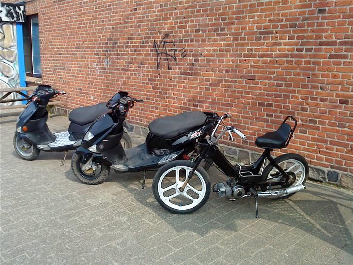 PGO t-rex - sammen med nomis og dannis scooter/puch billede 9