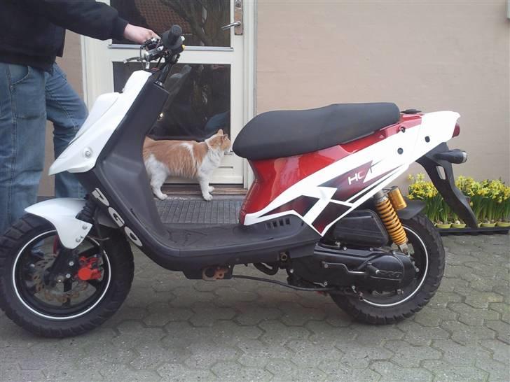 PGO Hot 50 ( byttet ) billede 5