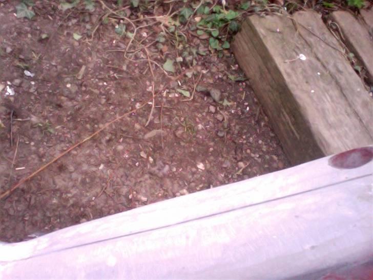 Puch maxi projekt!!! (solgt) billede 13