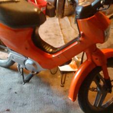 Honda  wallaroo (SOLGT)