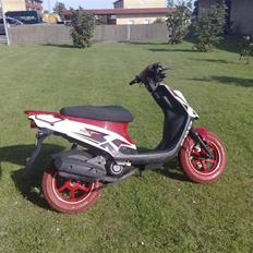 PGO Tornado (SOLGT FOR 8000)