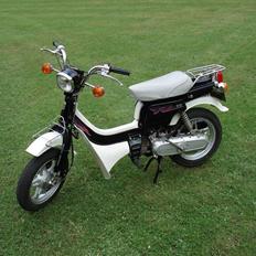 Suzuki Fz50