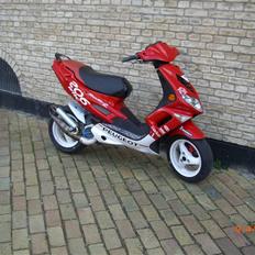 Peugeot Speedfight 206 WRC Byttet