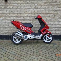 Peugeot Speedfight 206 WRC Byttet