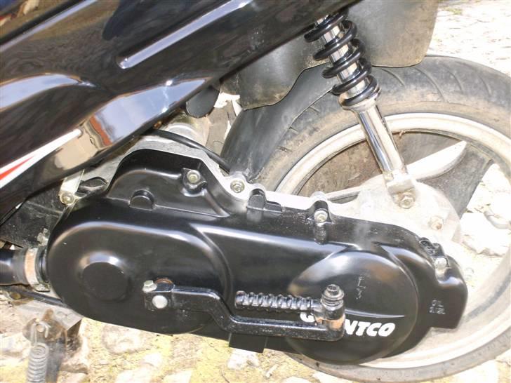 Giantco Sprint **Bumle** billede 7