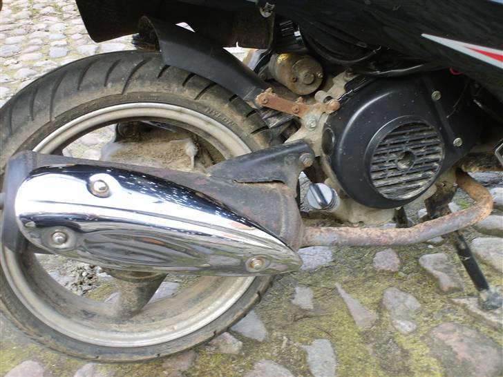 Giantco Sprint **Bumle** billede 9