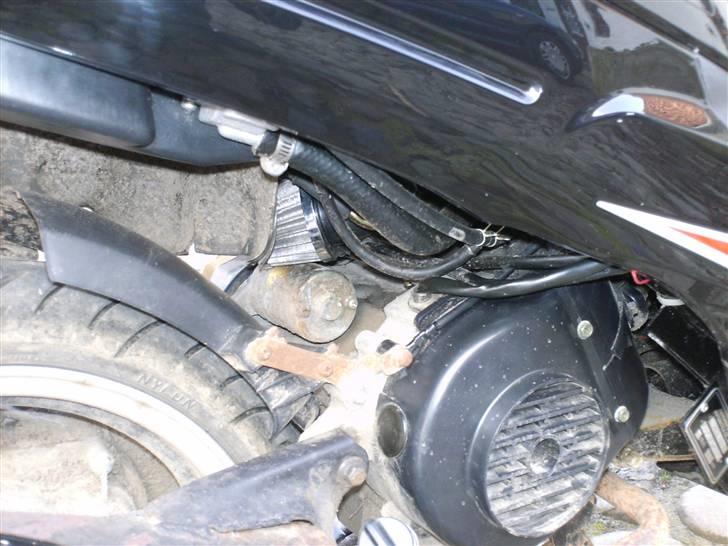 Giantco Sprint **Bumle** billede 10