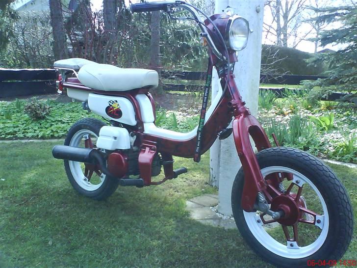 Suzuki fz 50 billede 2