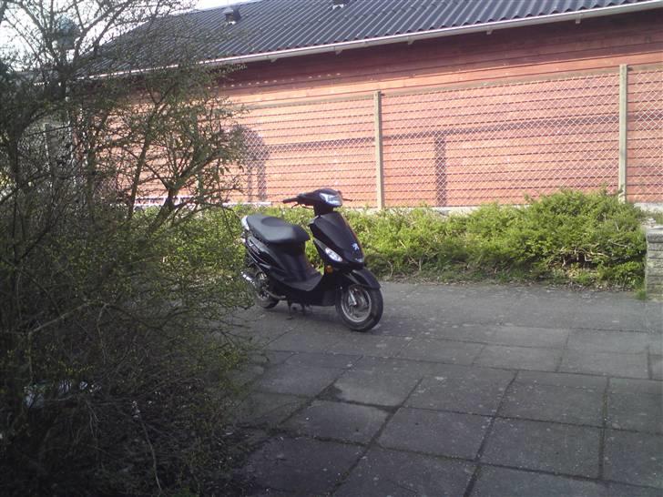 Peugeot V-Clic billede 10