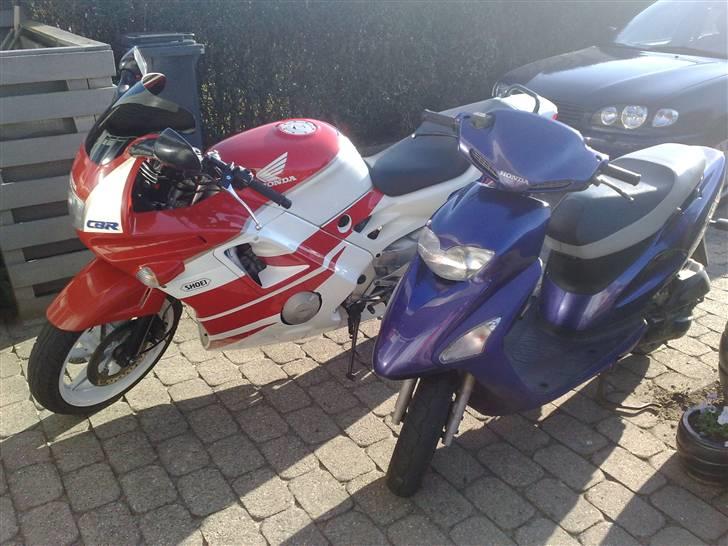 Honda SFX - De to Hondaer skinner i det gode vejr :D billede 12