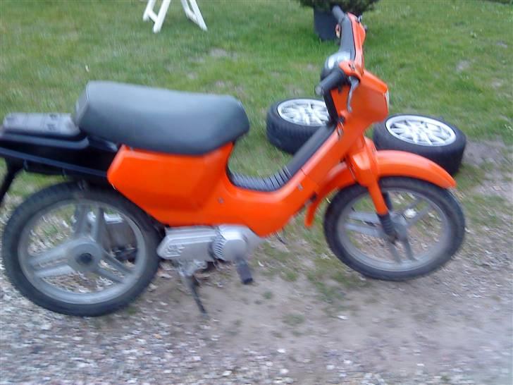 Honda  wallaroo (SOLGT) billede 5