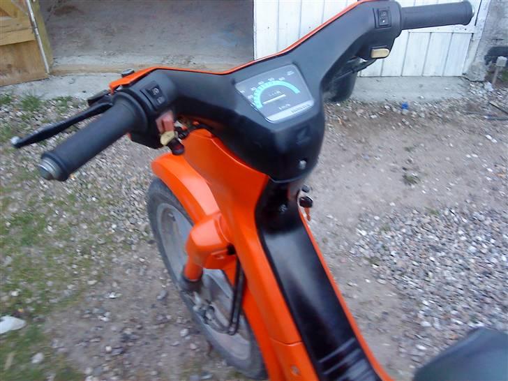 Honda  wallaroo (SOLGT) billede 9