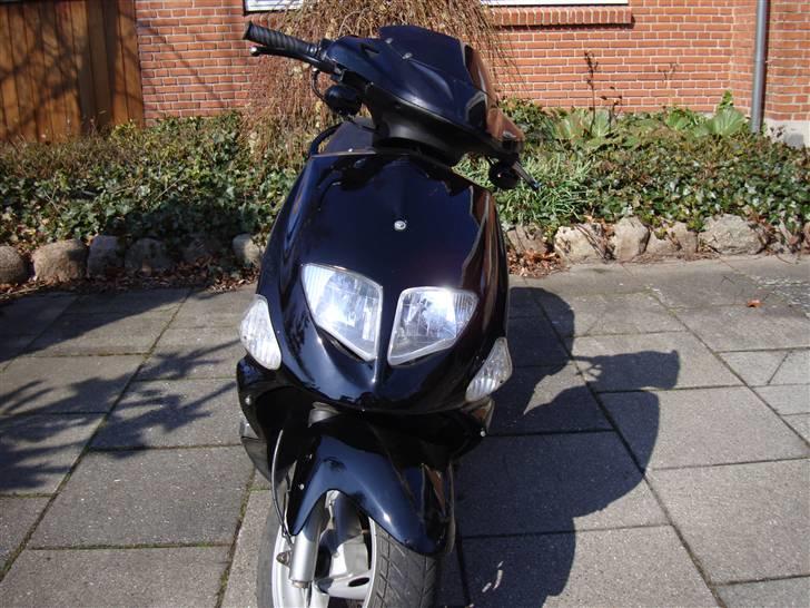 PGO dr. Big [ TIL SALG] billede 3