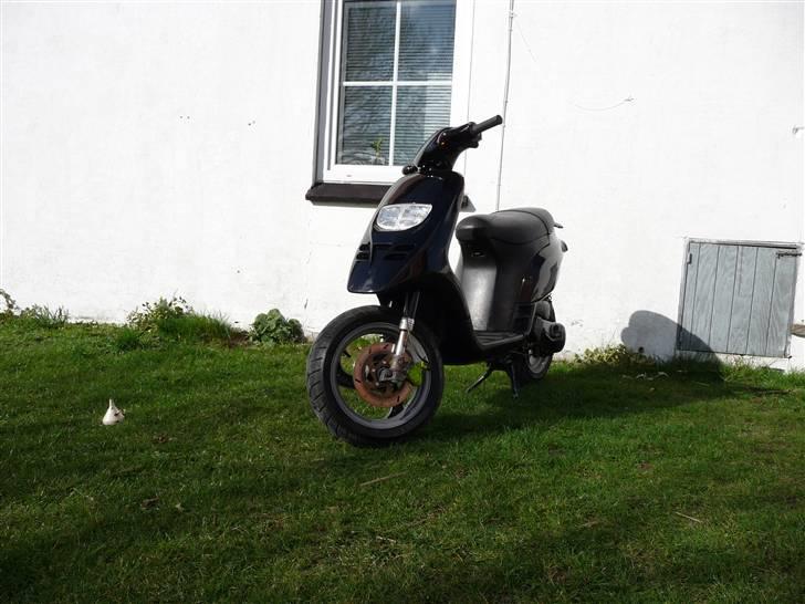 Piaggio typhoon Byttet billede 16