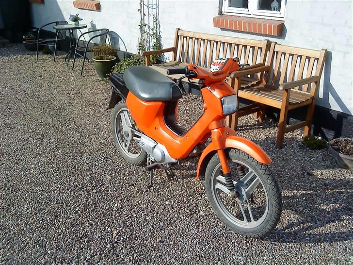 Honda  wallaroo (SOLGT) billede 12